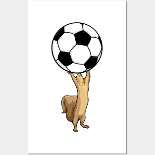 Squirrel with Soccer ball Posters and Art